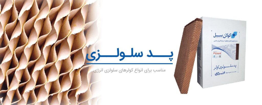 پد سلولوزی
